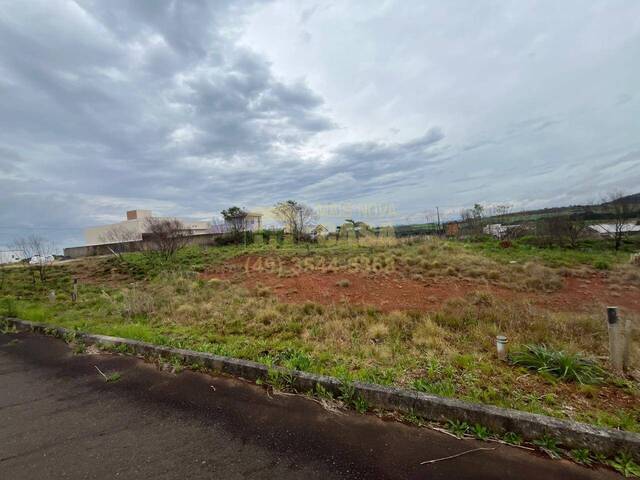#58740247 - Área para Venda em Campos Novos - SC - 3