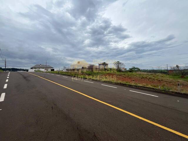 #58740247 - Área para Venda em Campos Novos - SC - 2