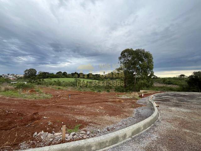 Área para Venda em Campos Novos - 5