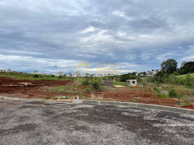 #58740251 - Área para Venda em Campos Novos - SC - 3