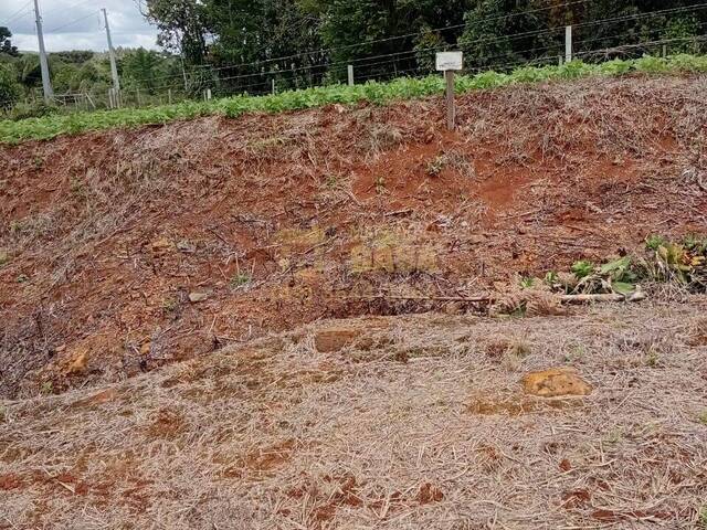 #58740255 - Chácara para Venda em Abdon Batista - SC - 2