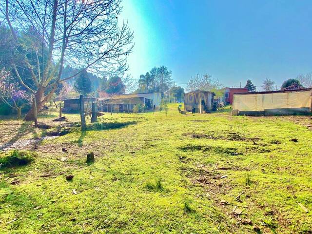 #58740264 - Chácara para Venda em Vargem - SC - 2