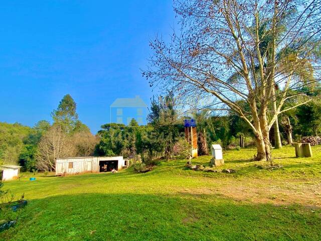 #58740264 - Chácara para Venda em Vargem - SC - 3