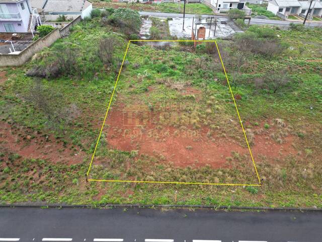 #58740247 - Área para Venda em Campos Novos - SC - 2