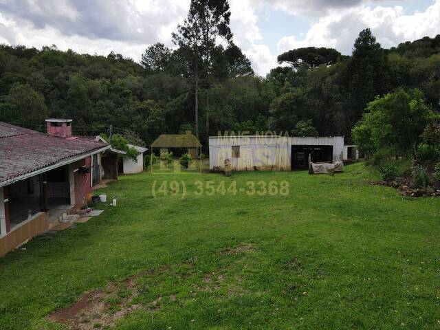 #58740264 - Chácara para Venda em Vargem - SC - 2