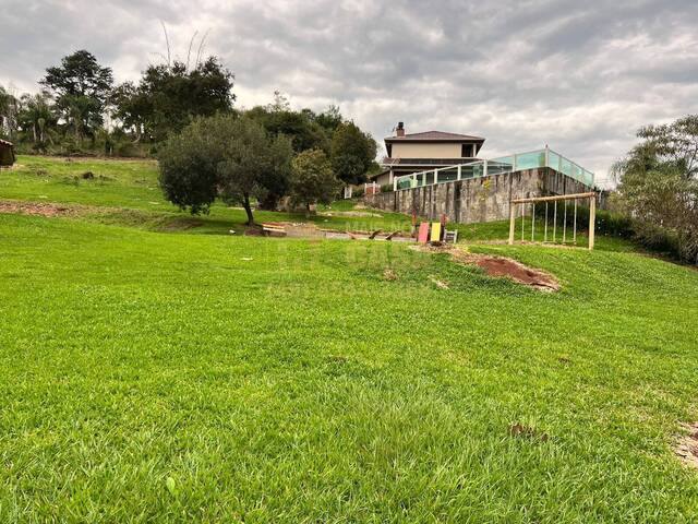 #58740270 - Chácara para Venda em Campos Novos - SC - 3