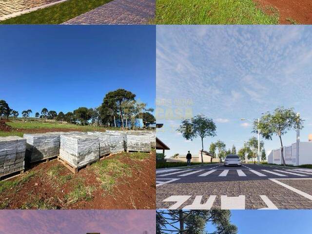 #58740291 - Área para Venda em Zortéa - SC - 2