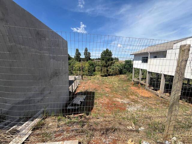 Área para Venda em Campos Novos - 3