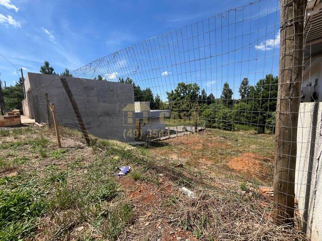 Área para Venda em Campos Novos - 4