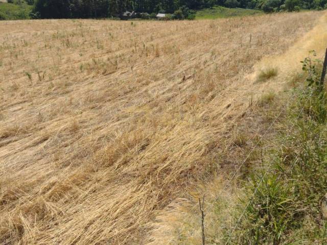 #58740295 - Chácara para Venda em Campos Novos - SC - 3