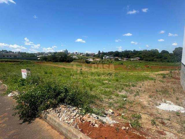 #58740301 - Área para Venda em Campos Novos - SC - 2