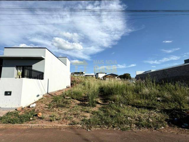 #58740308 - Área para Venda em Campos Novos - SC - 3