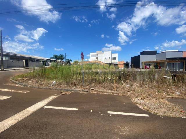 #58740316 - Área para Venda em Campos Novos - SC - 1