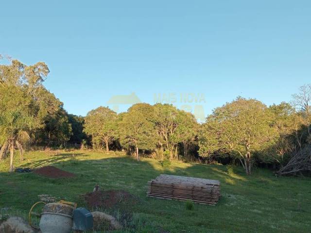 Venda em Palmeira do Ibicuí - Campos Novos