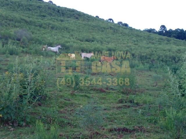 #58740326 - Chácara para Venda em Campos Novos - SC - 2