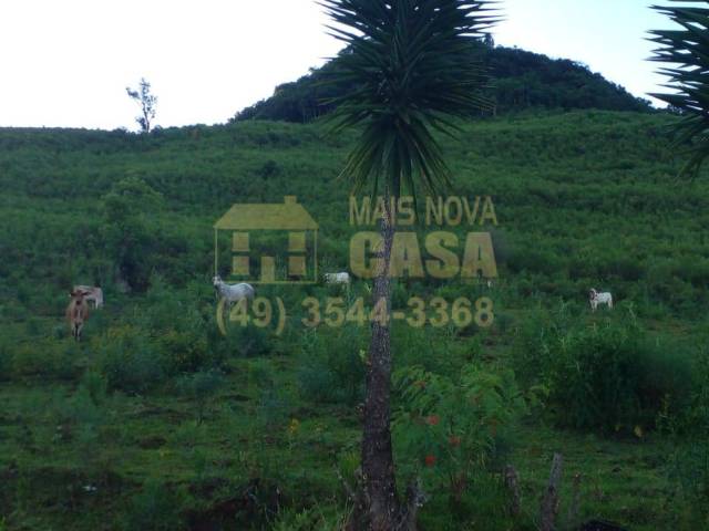 #58740326 - Chácara para Venda em Campos Novos - SC - 3