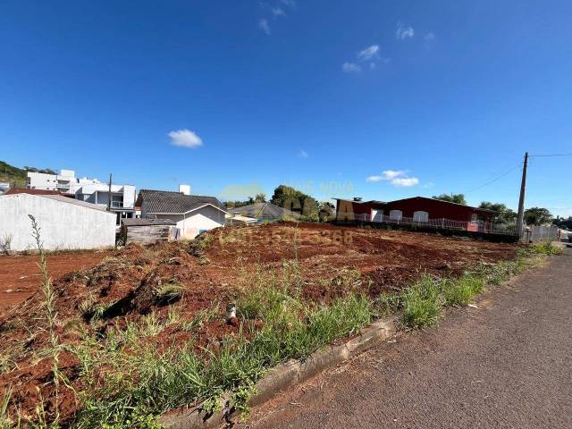 Área para Venda em Campos Novos - 5