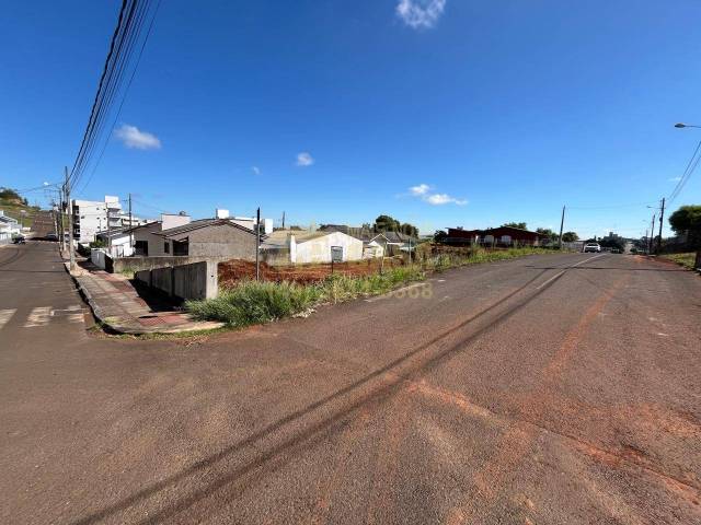 #58740328 - Área para Venda em Campos Novos - SC - 2