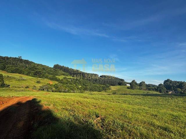 #58740336 - Chácara para Venda em Campos Novos - SC - 3