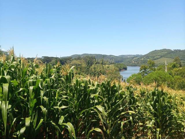 #58740340 - Chácara para Venda em Abdon Batista - SC - 3