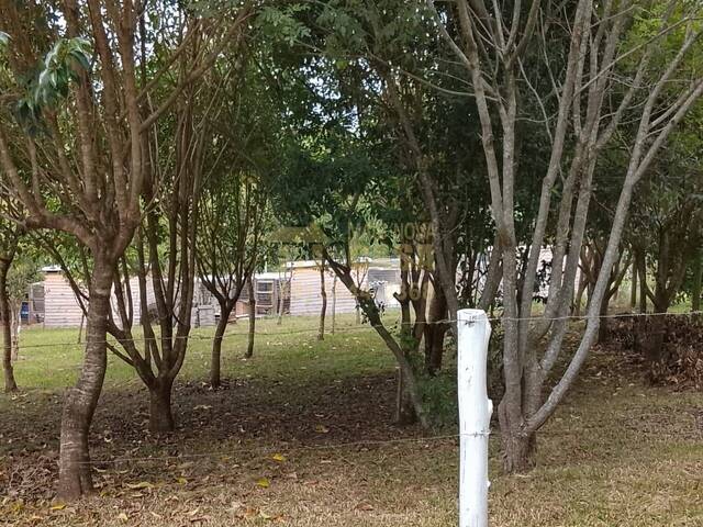 #58740341 - Chácara para Venda em Zortéa - SC - 3