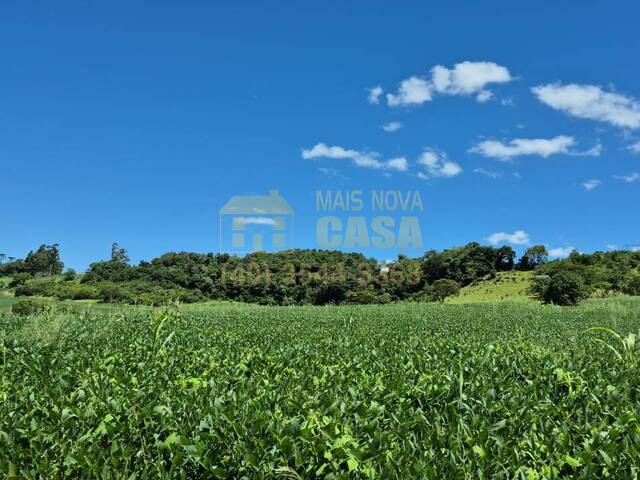 Venda em RIO DO  SALTO - Cascavel