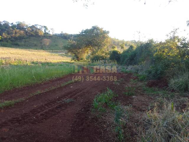 #58740367 - Chácara para Venda em Cascavel - PR - 2