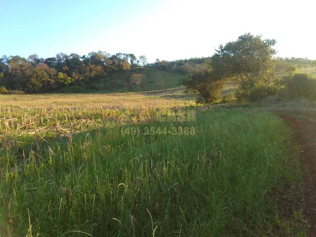 #58740367 - Chácara para Venda em Cascavel - PR - 3