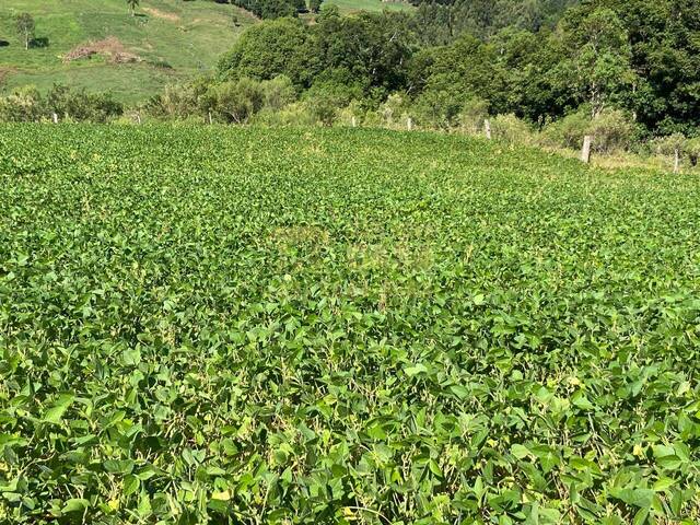 #58740373 - Chácara para Venda em Abdon Batista - SC - 2