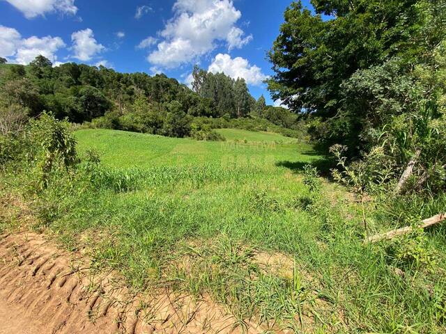 #58740373 - Chácara para Venda em Abdon Batista - SC - 3