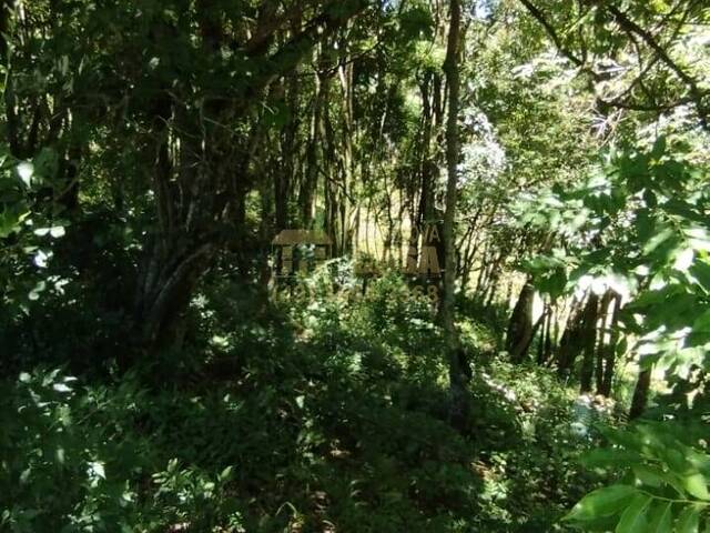 Área para Venda em Abdon Batista - 4