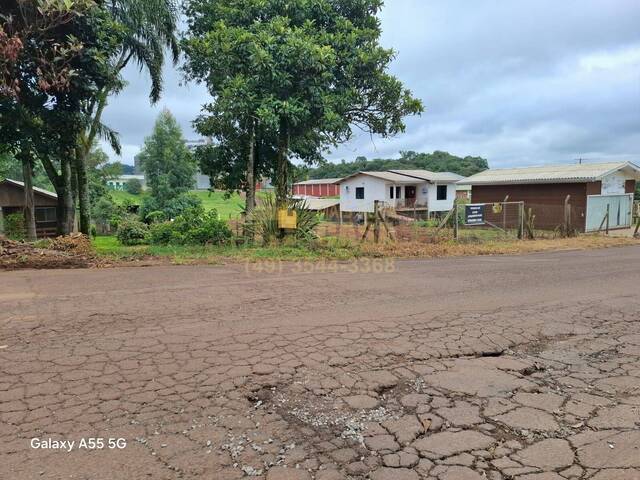 #58740393 - Área para Venda em Campos Novos - SC - 3