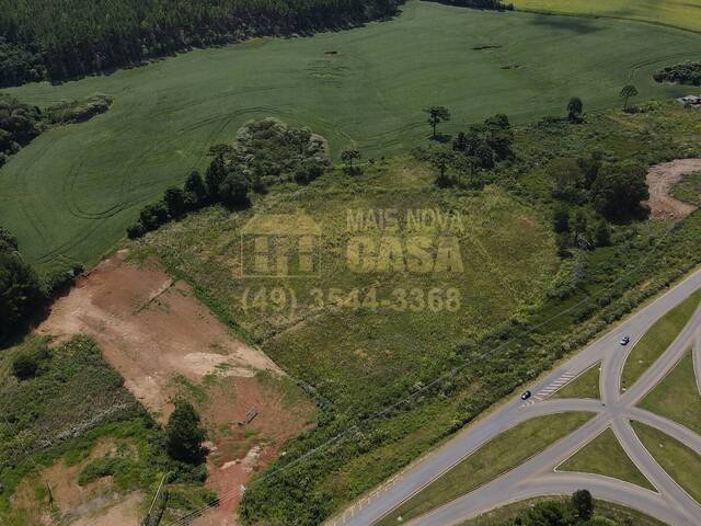 Área para Venda em Campos Novos - 5
