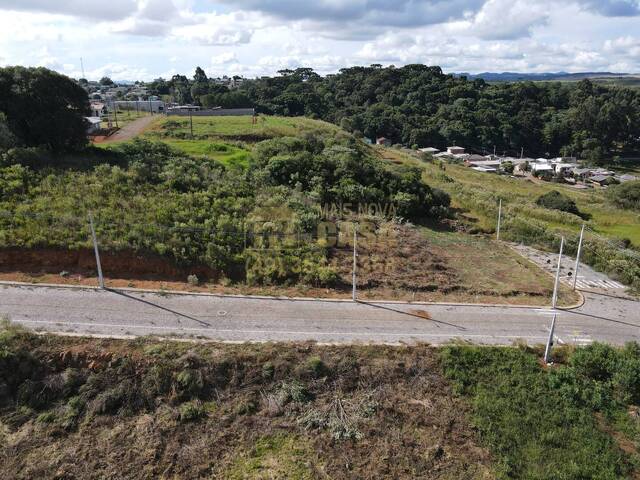 Área para Venda em Campos Novos - 4