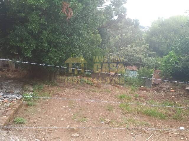 #58740403 - Área para Venda em Zortéa - SC - 2