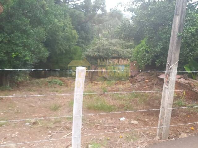 #58740403 - Área para Venda em Zortéa - SC - 3