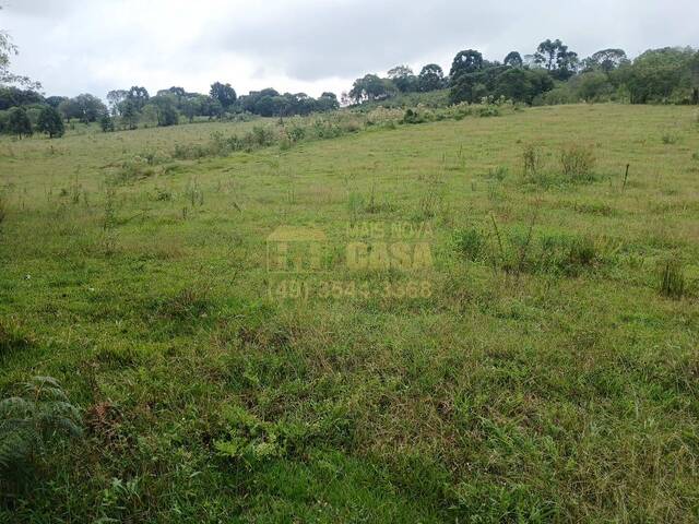 #58740406 - Chácara para Venda em Abdon Batista - SC - 2