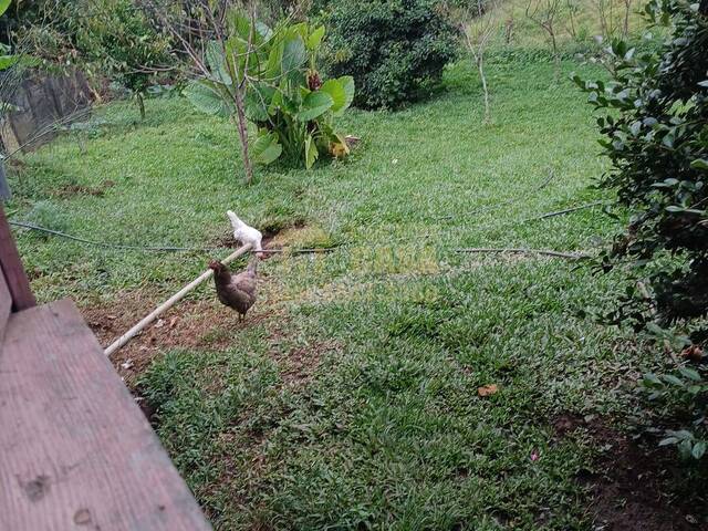 #58740406 - Chácara para Venda em Abdon Batista - SC - 3