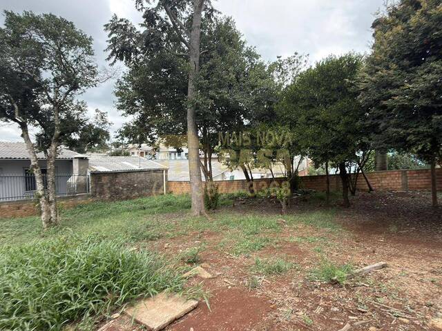 Casa para Venda em Campos Novos - 5