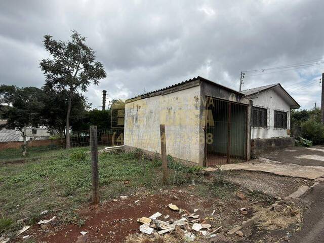 Casa para Venda em Campos Novos - 4