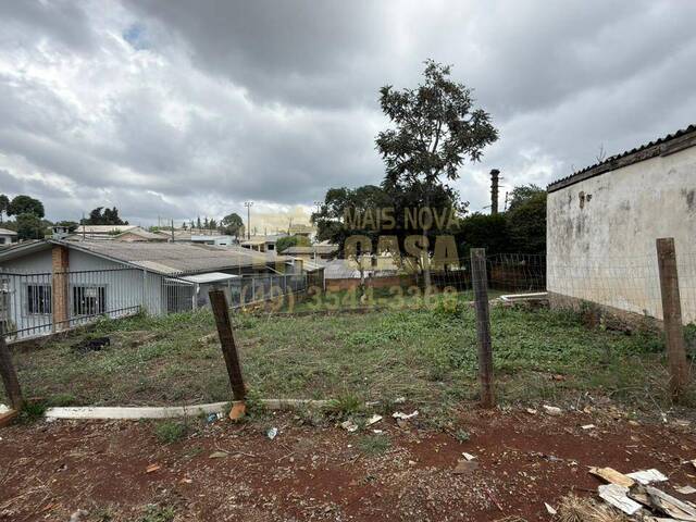 #58740410 - Casa para Venda em Campos Novos - SC - 3