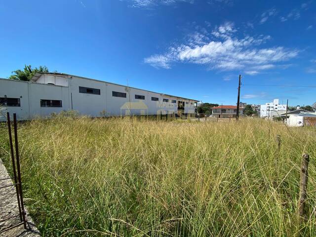 Área para Venda em Campos Novos - 5