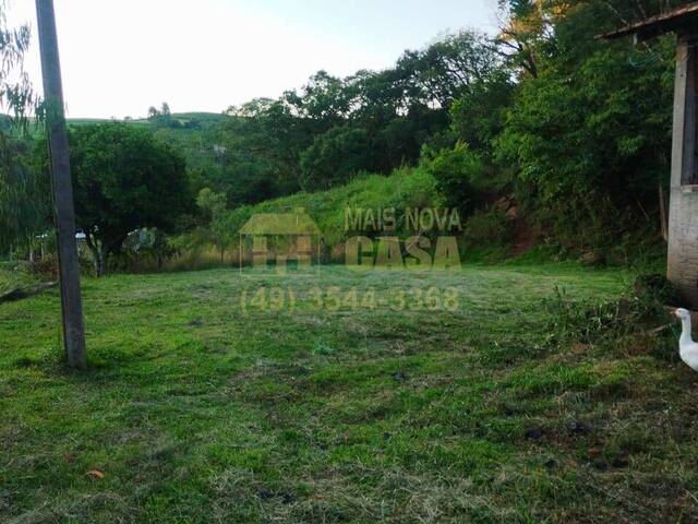 #58740418 - Chácara para Venda em Pinheiro Preto - SC - 3