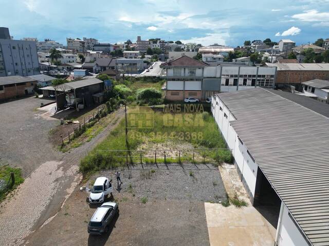 #58740413 - Área para Venda em Campos Novos - SC - 3