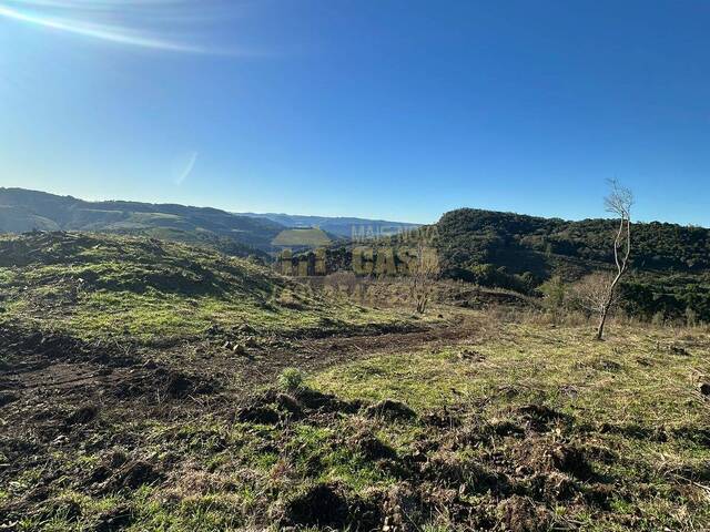 Venda em INTERIOR - Anita Garibaldi