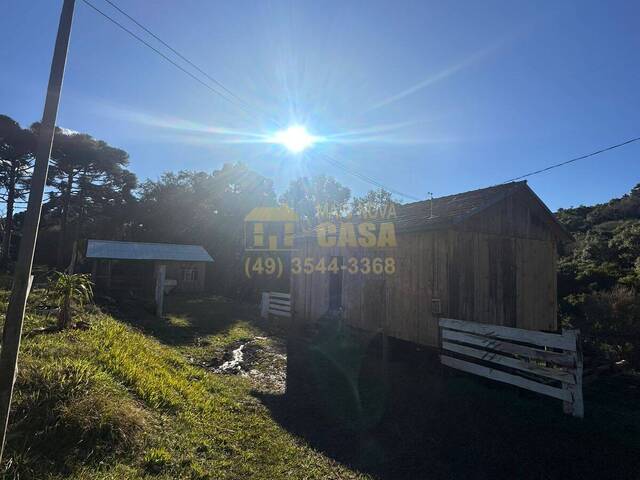 Chácara para Venda em Anita Garibaldi - 4