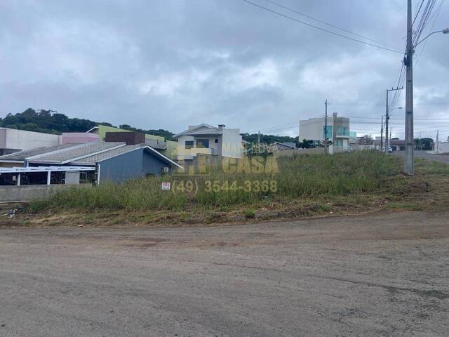 #58740421 - Área para Venda em Campos Novos - SC - 2
