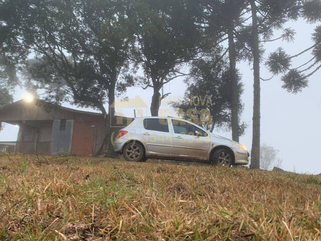 #58740422 - Área para Venda em Campo Belo do Sul - SC - 2