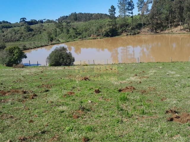 #58740422 - Área para Venda em Campo Belo do Sul - SC - 3