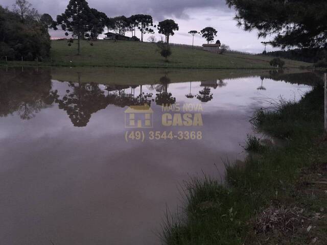 Área para Venda em Campo Belo do Sul - 5